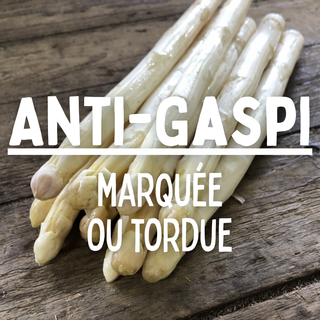 Asperge blanche ANTIGASPI - 350g