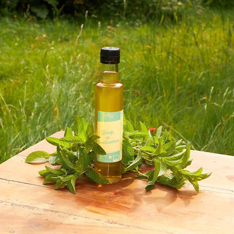 Sirop de l'enchanteur à la menthe aquatique - 250g