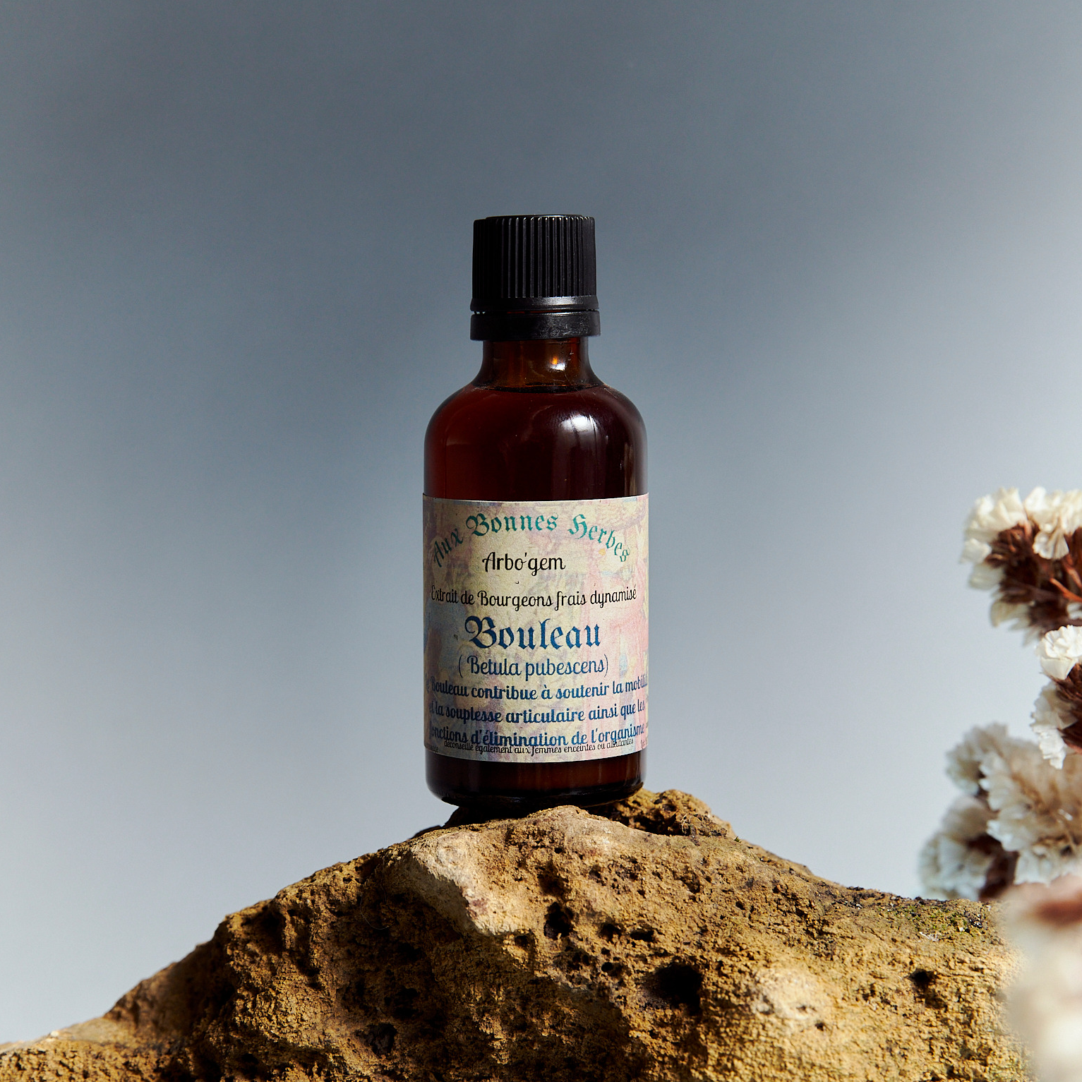 Bouleau pubescent - 50ml