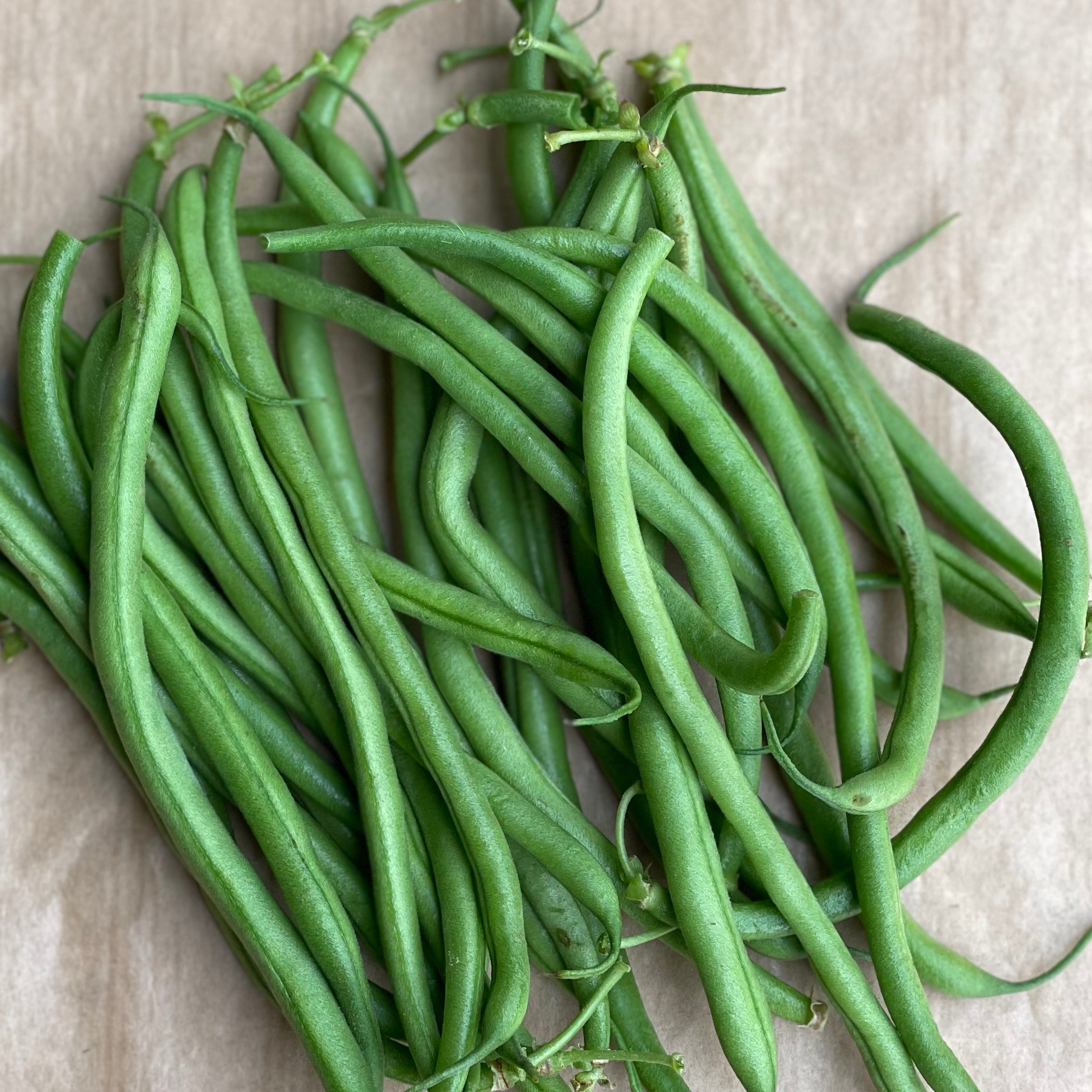Haricot moyen 1kg - 1kg
