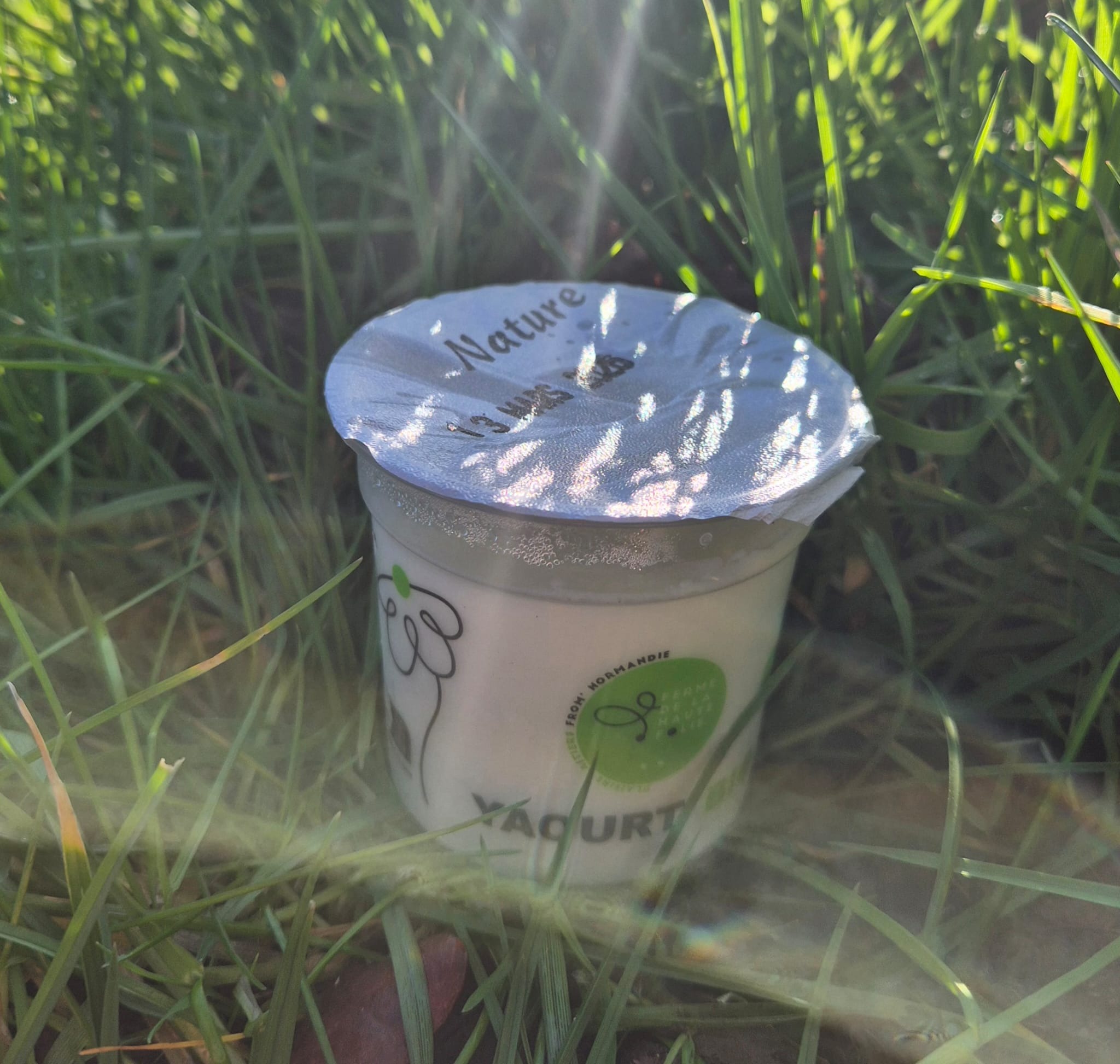 Yaourt nature - 100g