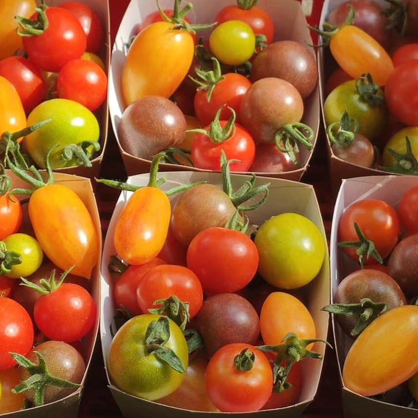 Tomate cerise (barquette) - 500g
