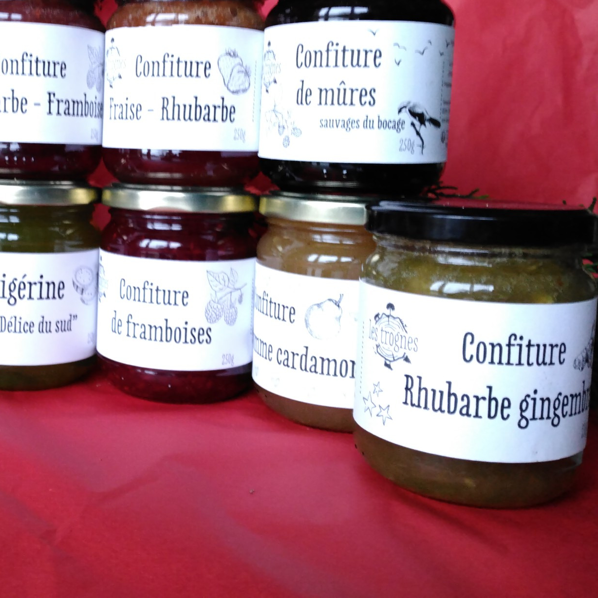 Confiture de rhubarbe - gingembre - 250g