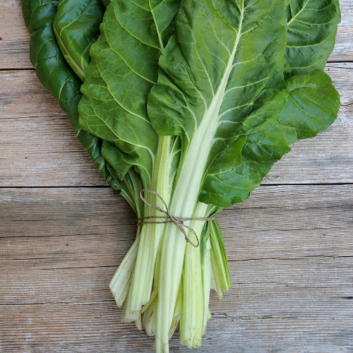 BLETTE VERTE À CARDE BLANCHE Bio