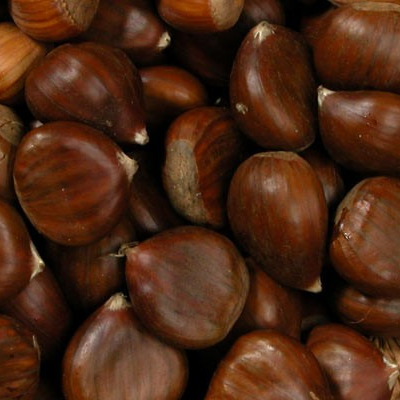 Châtaigne (100gr)