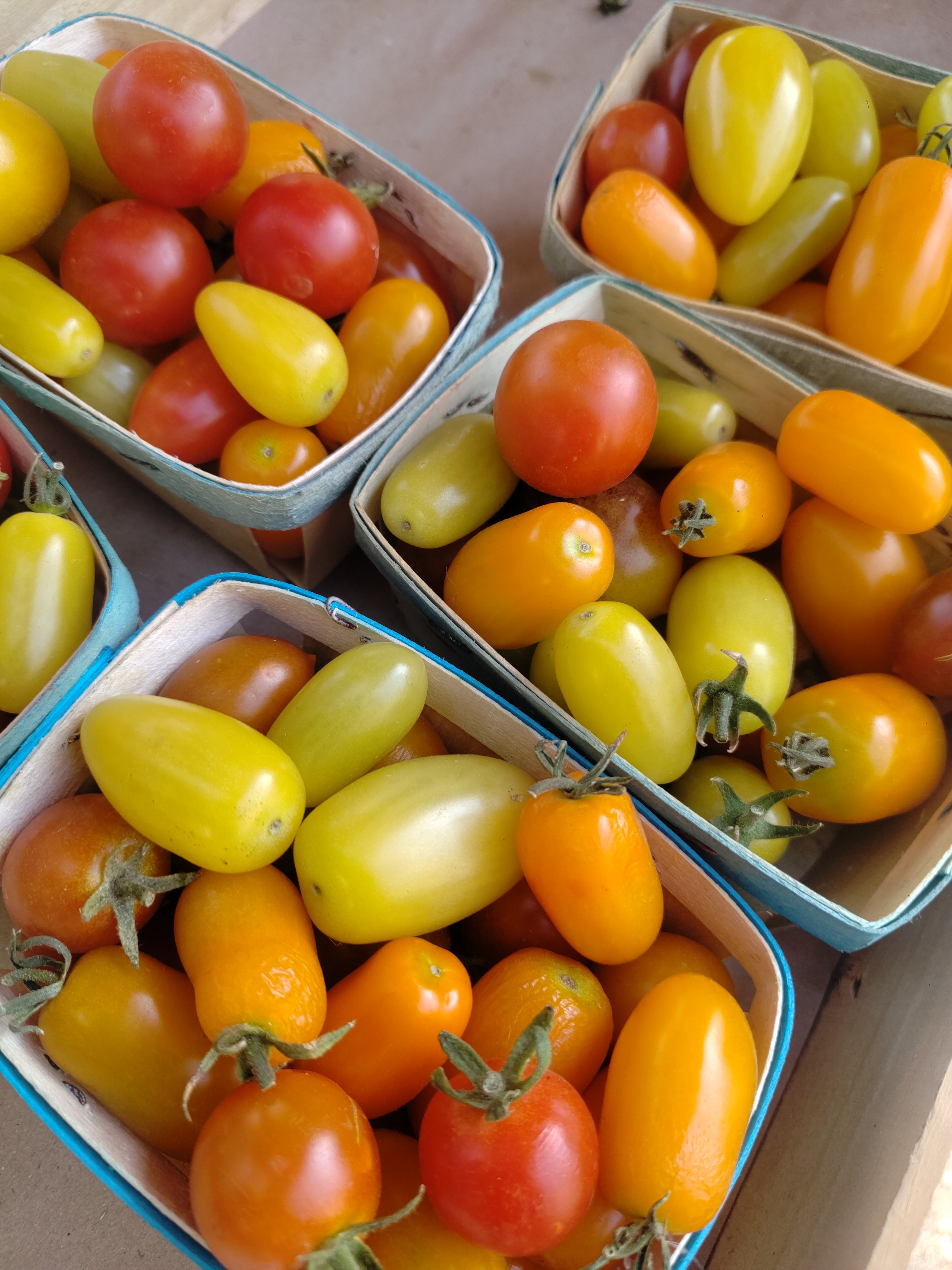 Tomate cerise colorés 250Gr