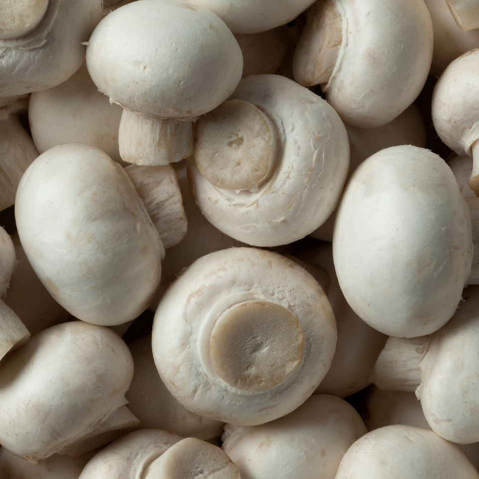Champignons  De Paris Blanc ou Brun