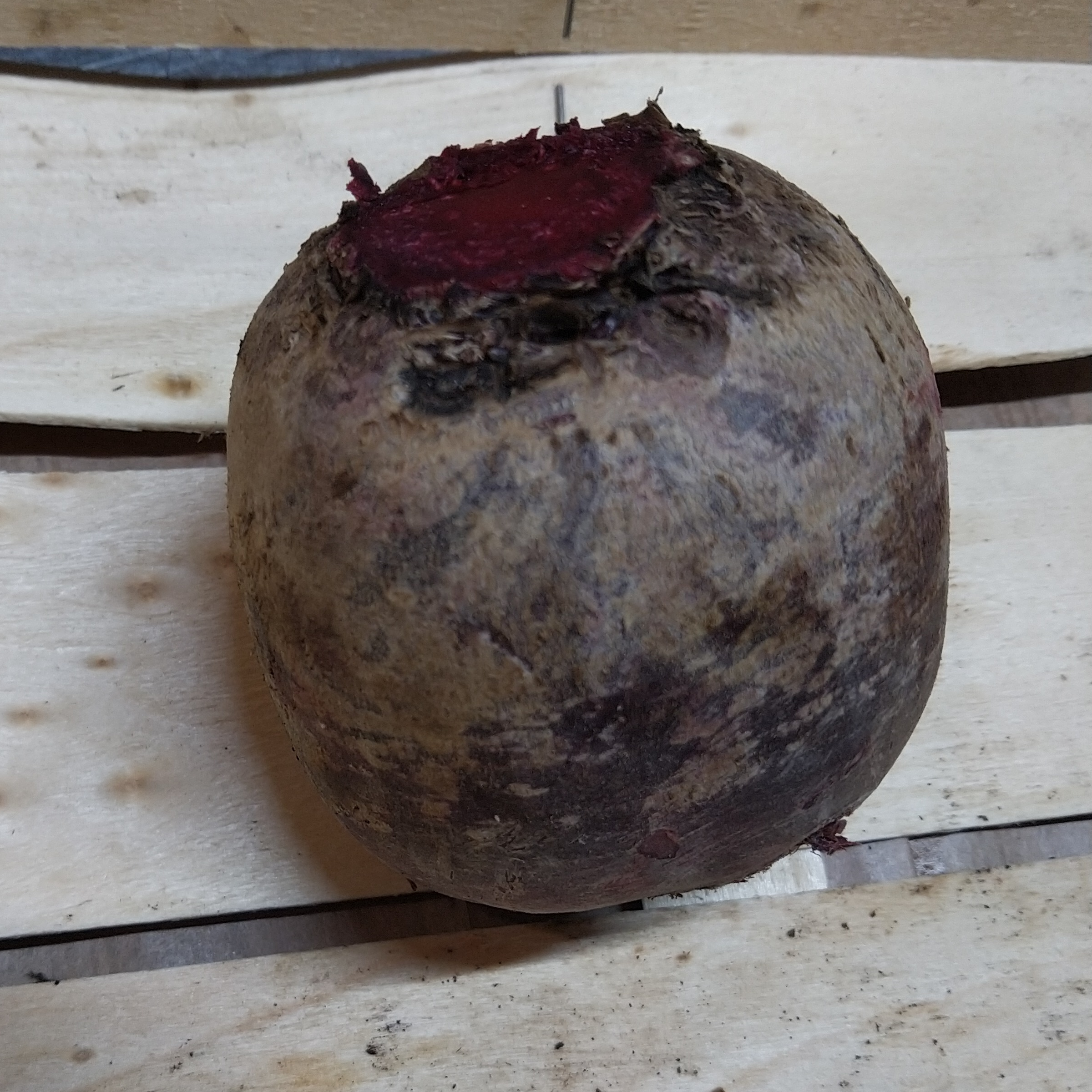 Betterave pièce - 300g