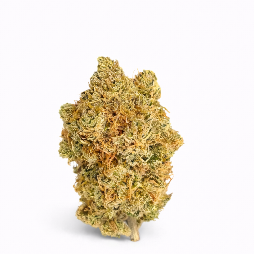 PACK DECOUVERTE FLEUR CBD INDOOR ET OUTDOOR