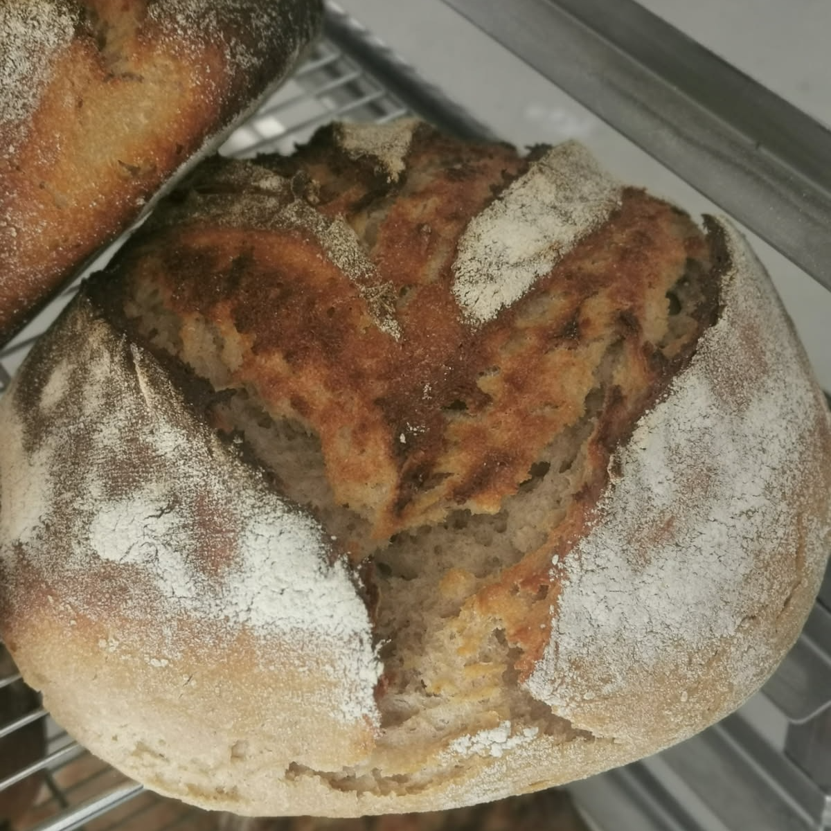 Pain khorasan 500g (panier du mercredi après-midi)