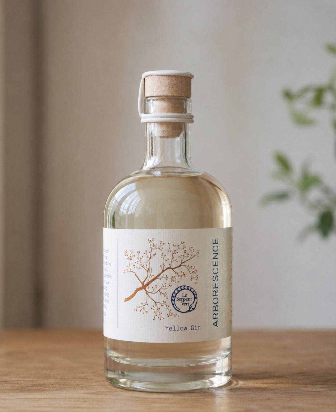 GIN Arborescence