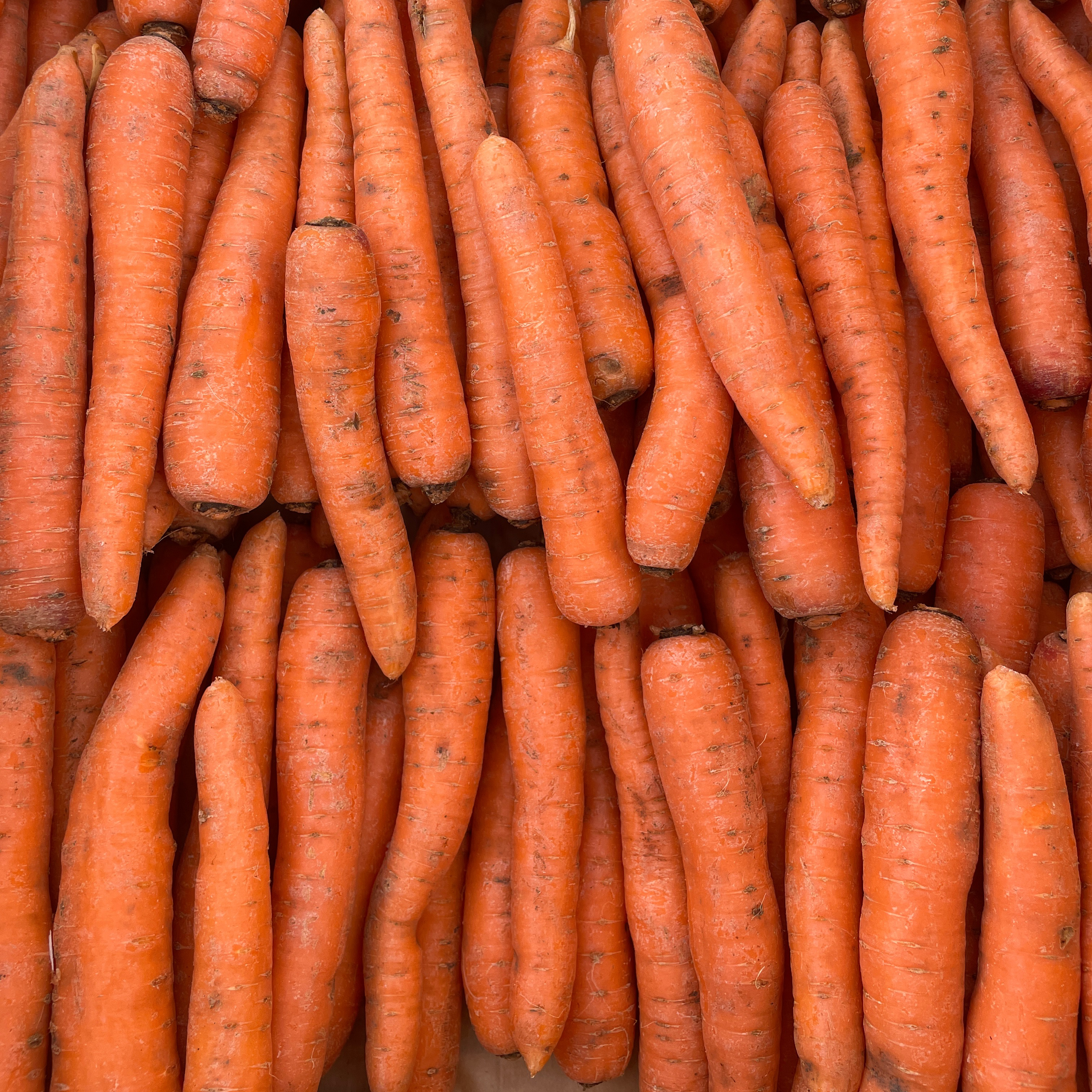 Carotte vrac - 3kg