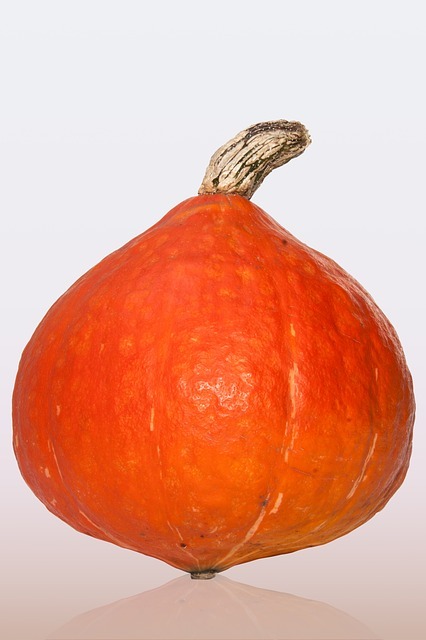 Potimarron