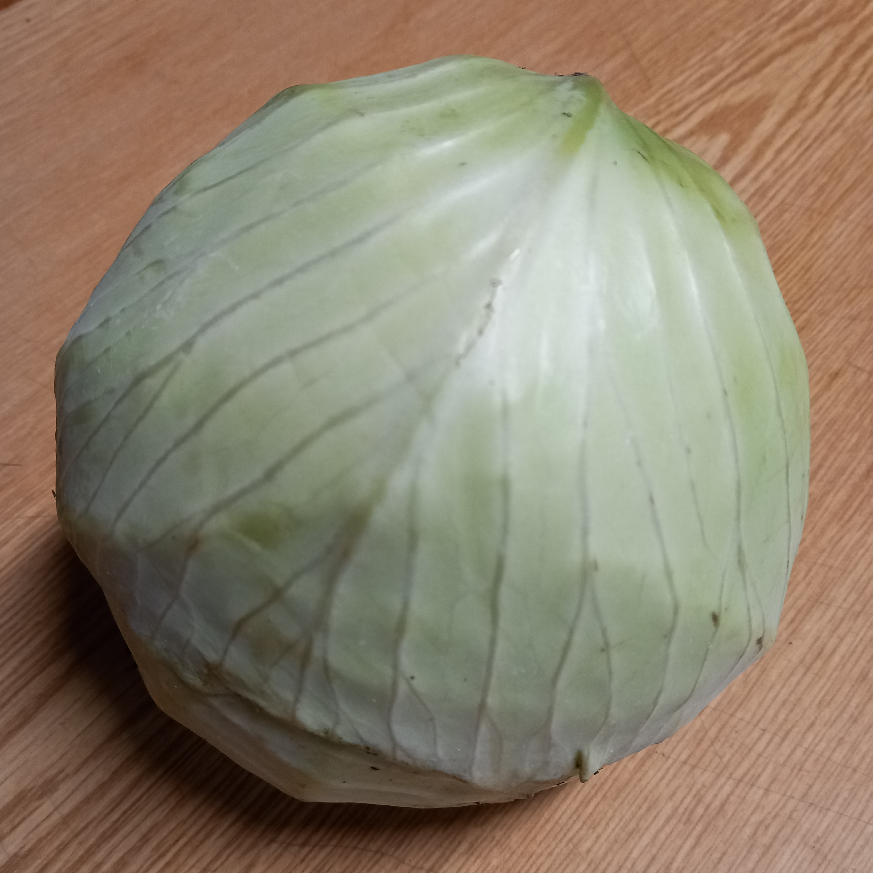 Chou cabus blanc AR - 1kg