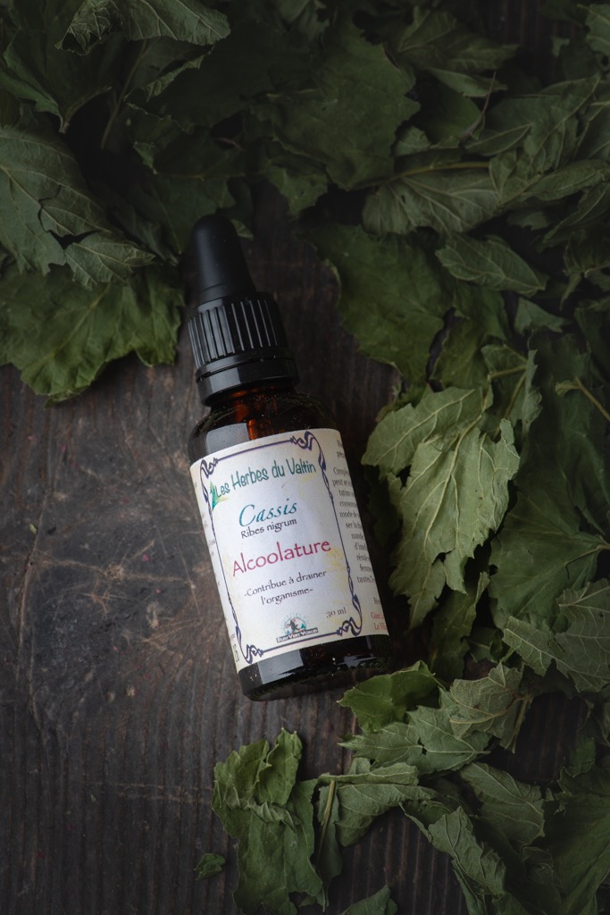 Alcoolature Cassis - 30ml