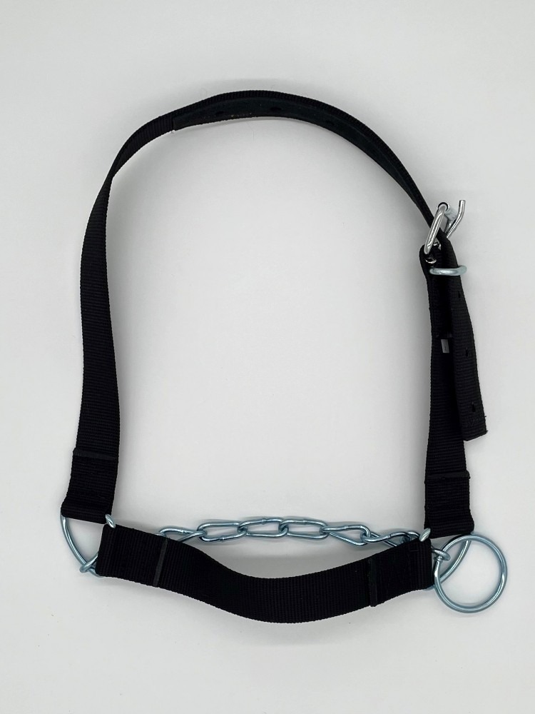 Licol bovin avec chaine Taille 3 - 450g