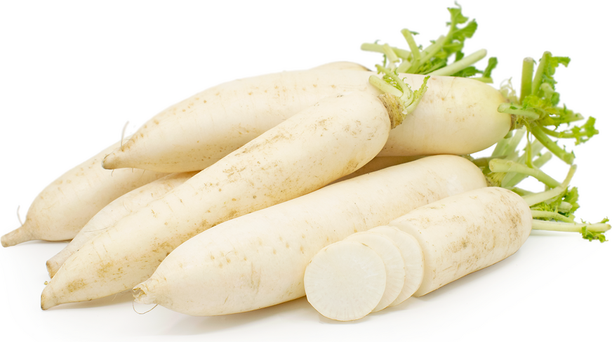 Radis Daikon - Pièce - 0,5kg
