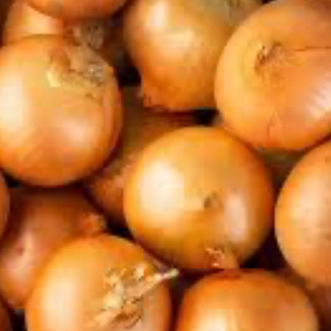 Oignon jaune de conservation