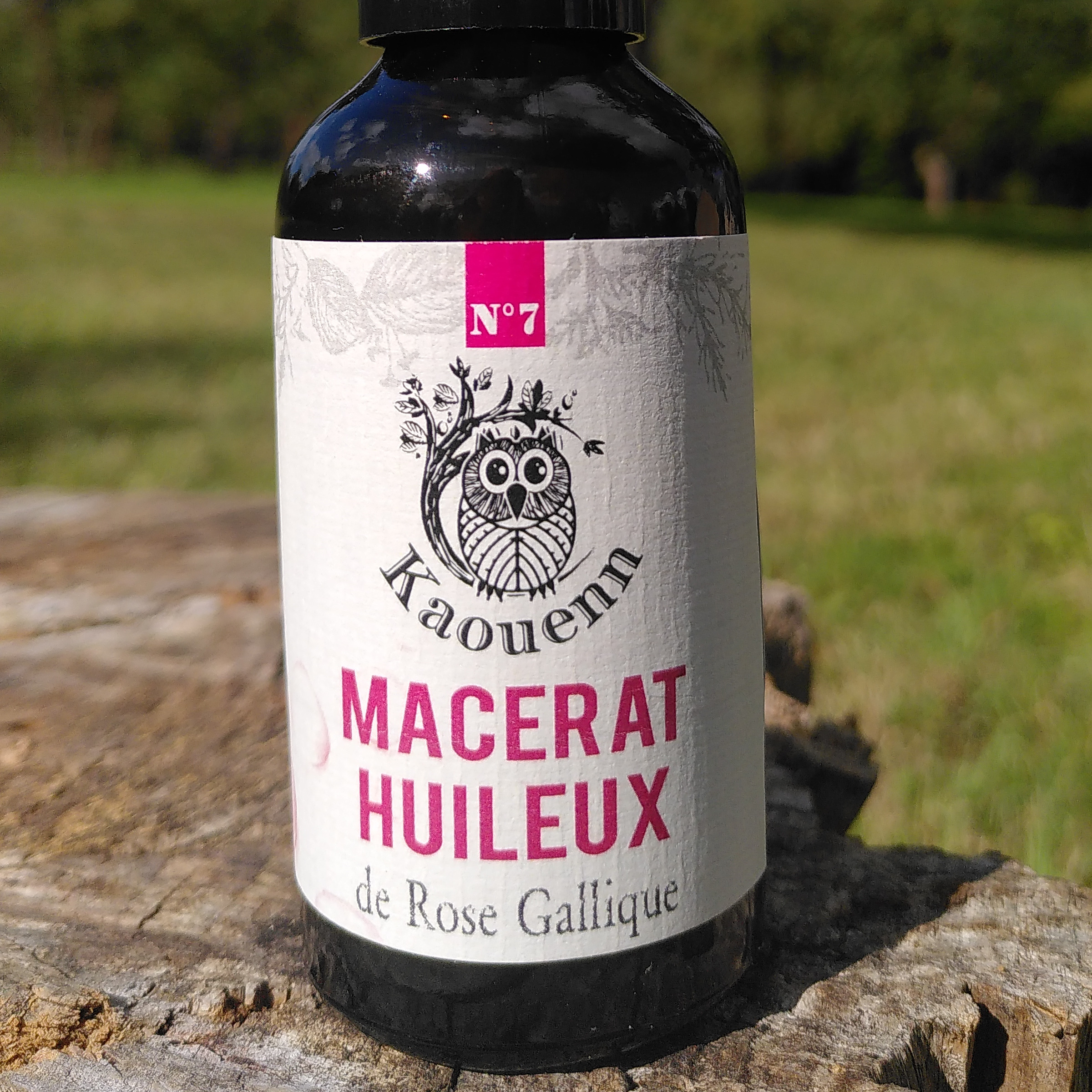 MACÉRAT HUILEUX DE ROSE GALLIQUE - 50ml