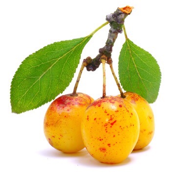 Mirabelle bio (500 gr)