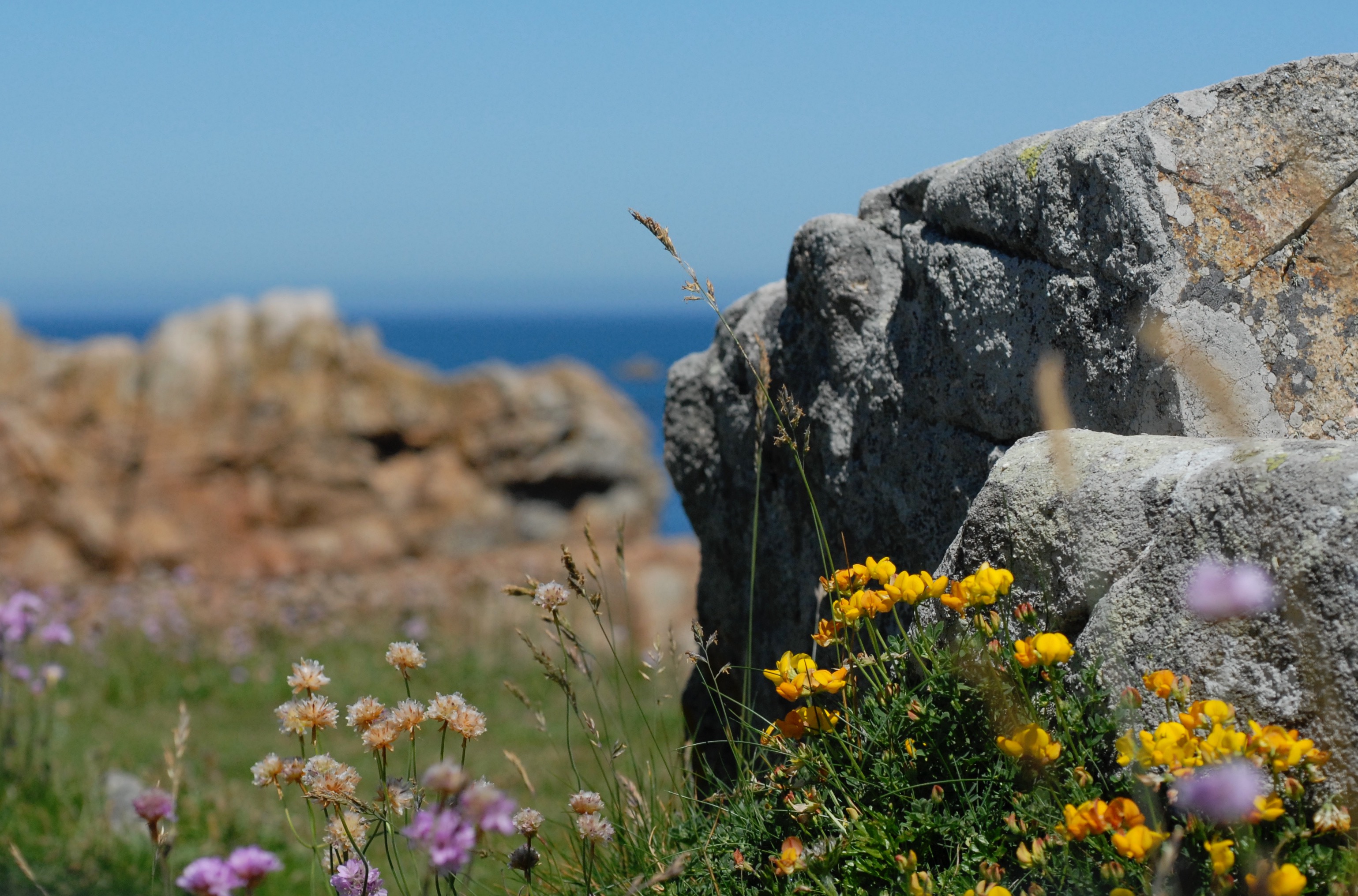 sortie Phyt'Ô logique - 20 août 2026