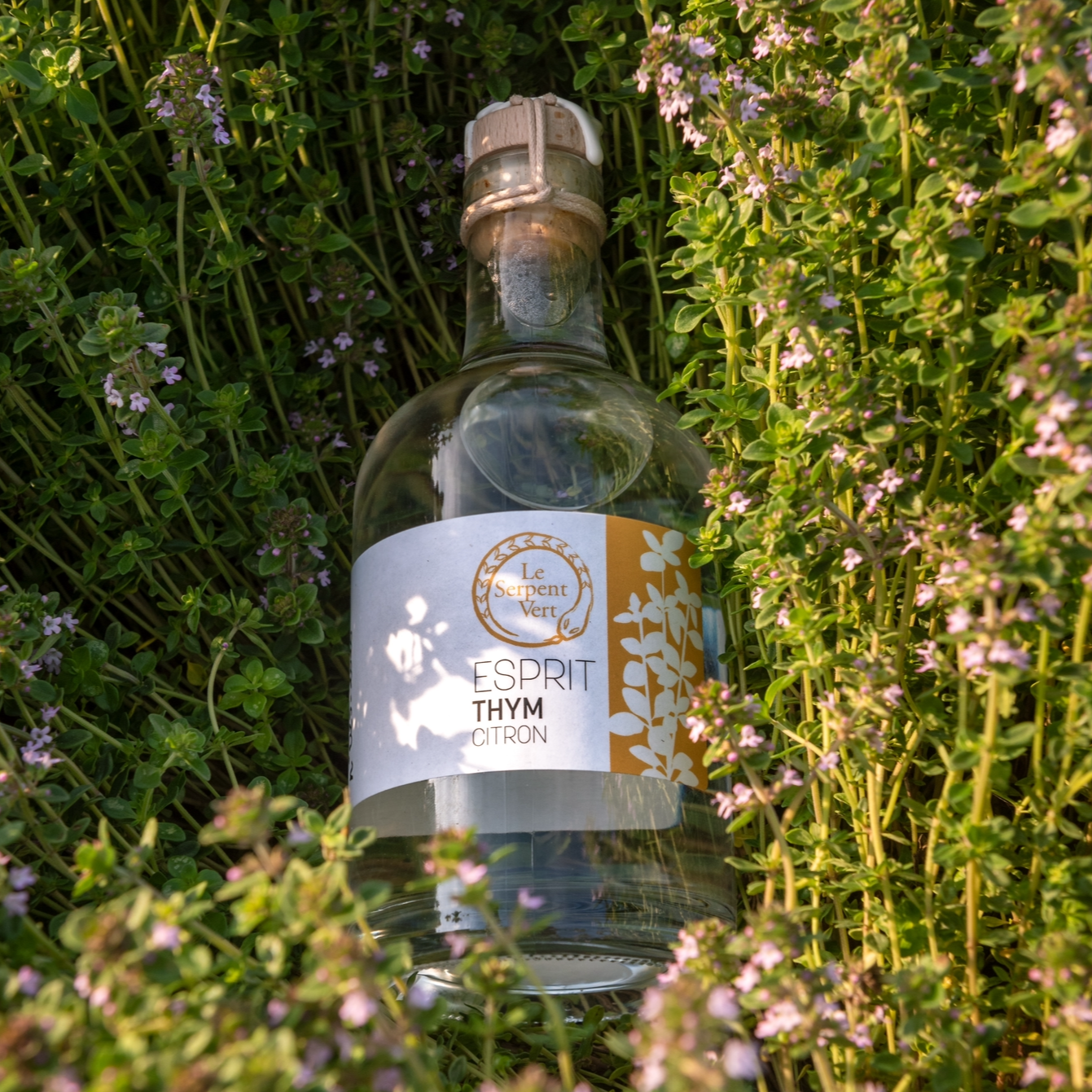 ESPRIT THYM CITRON - 35cl