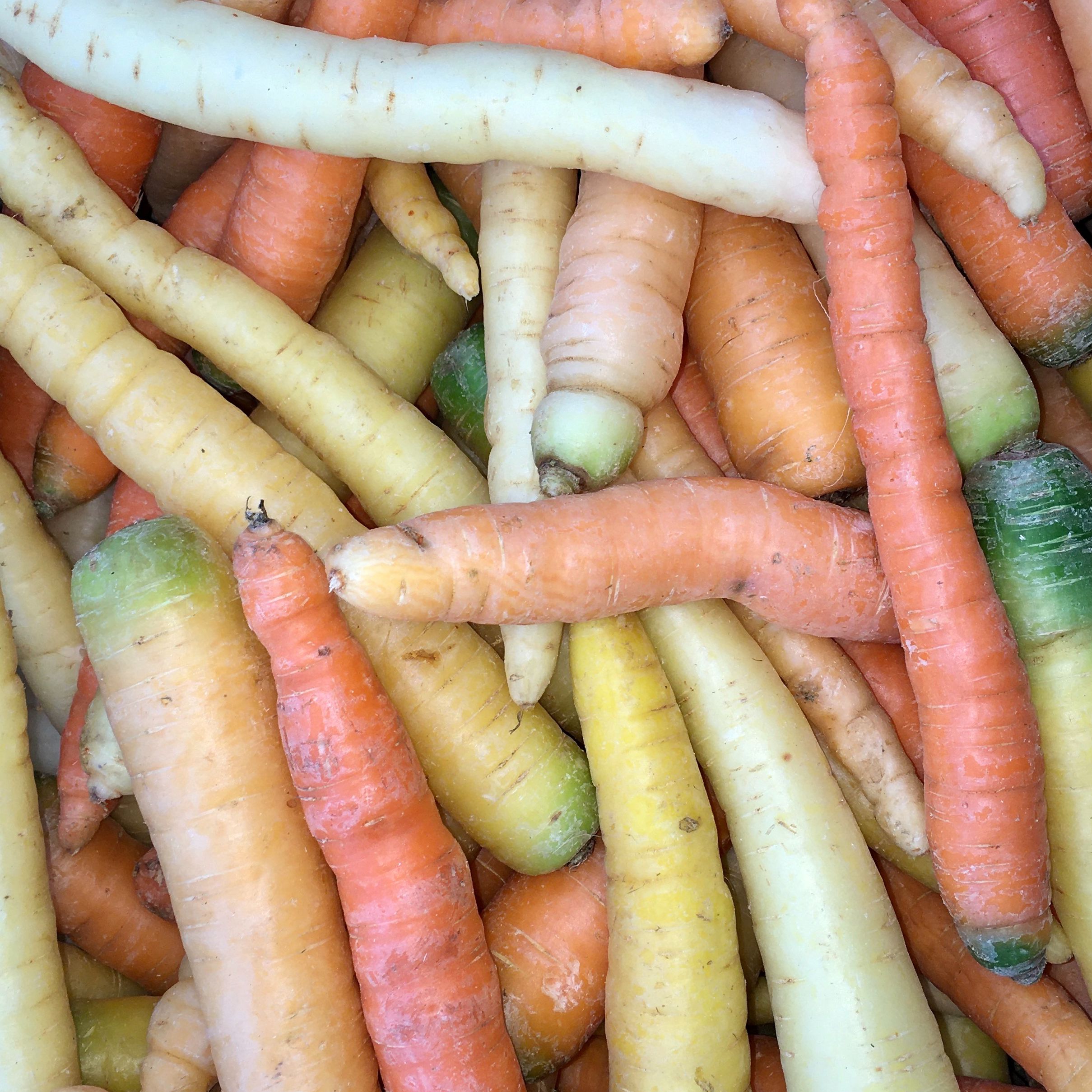 Carotte Multicolores BIO - 1kg