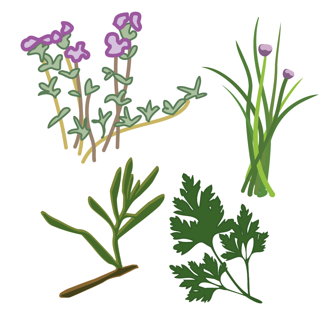 Aromatique Romarin