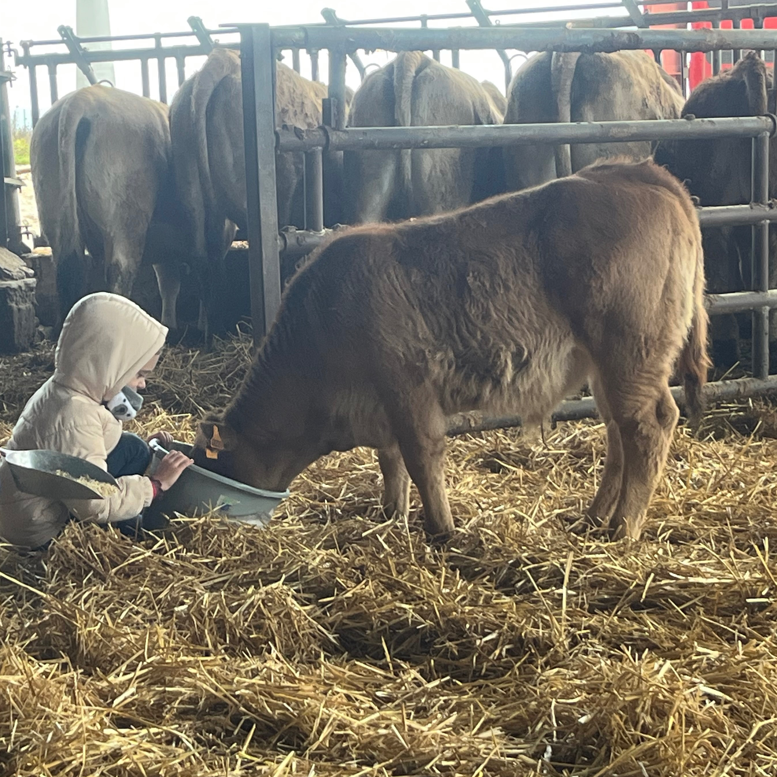 Le Club de la ferme des 7ans et +