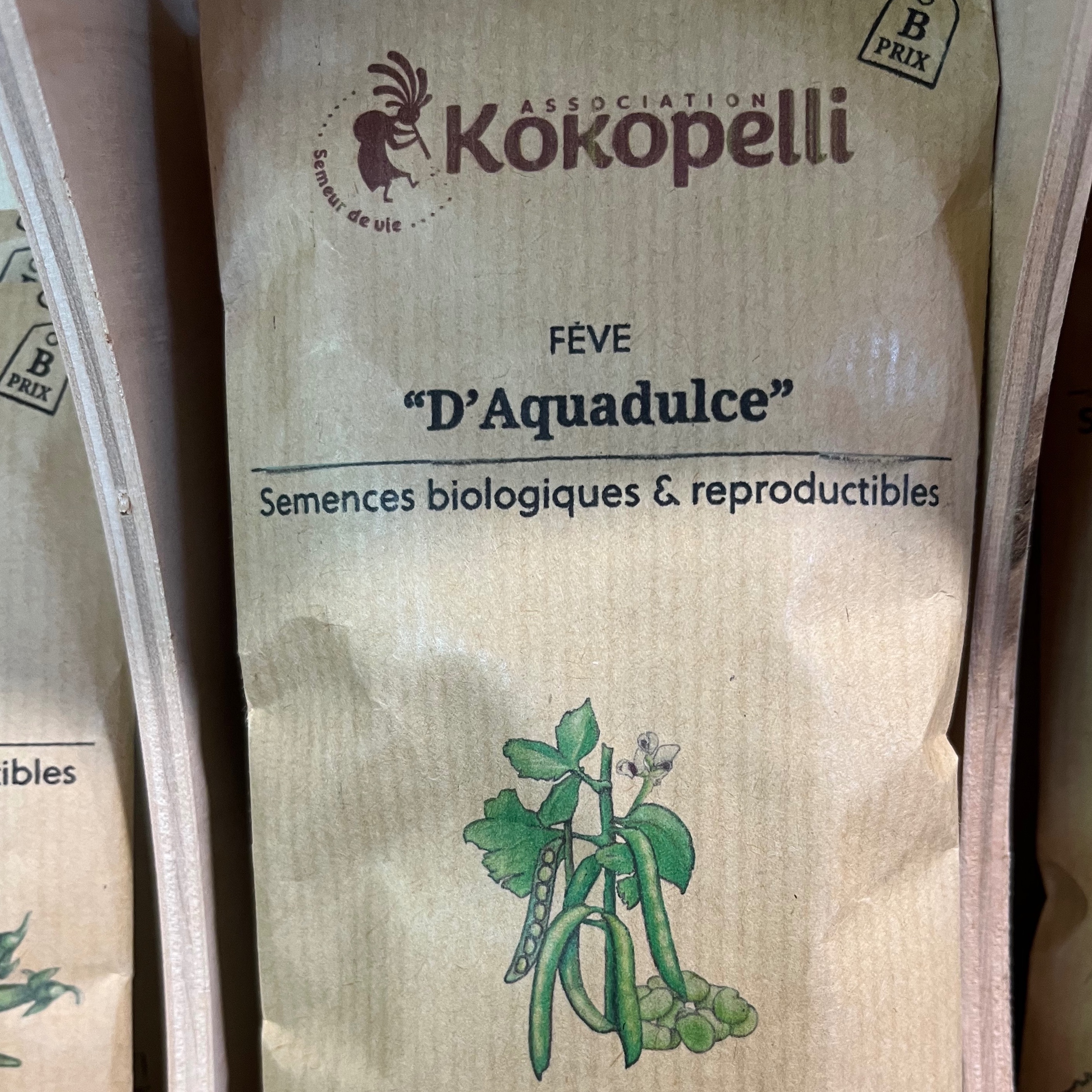 Fève "Aquadulce"