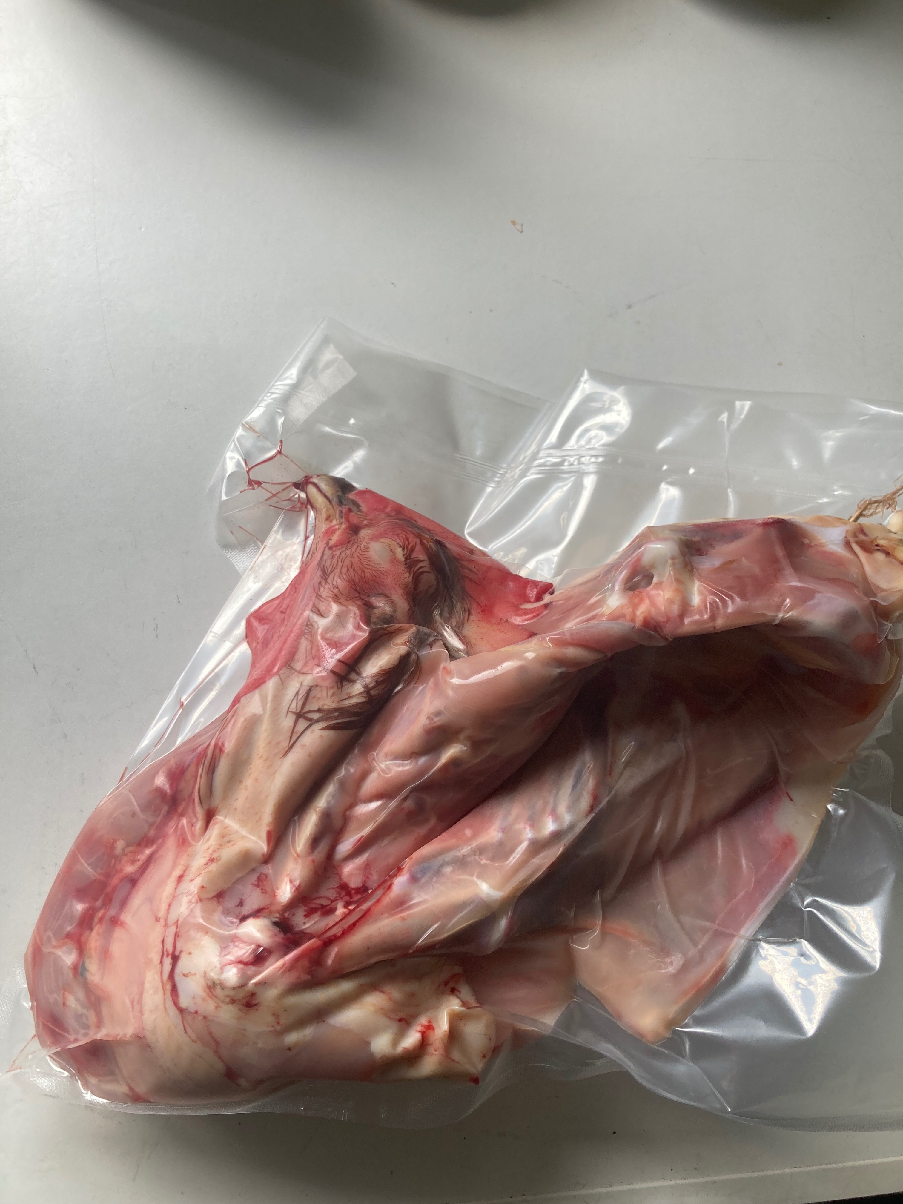 Carcasse de Volaille