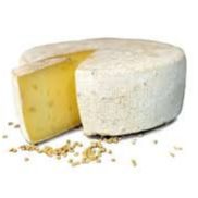TOMME FENUGREC