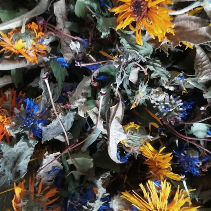 Infusion Belle Plante Bocal - 35g