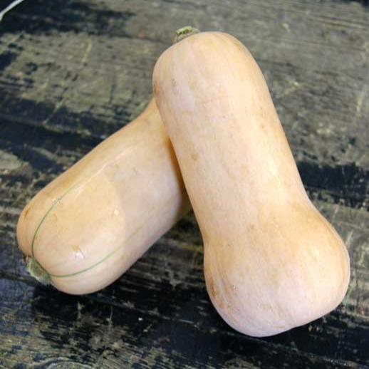 Courge butternut Bio - 1,2kg