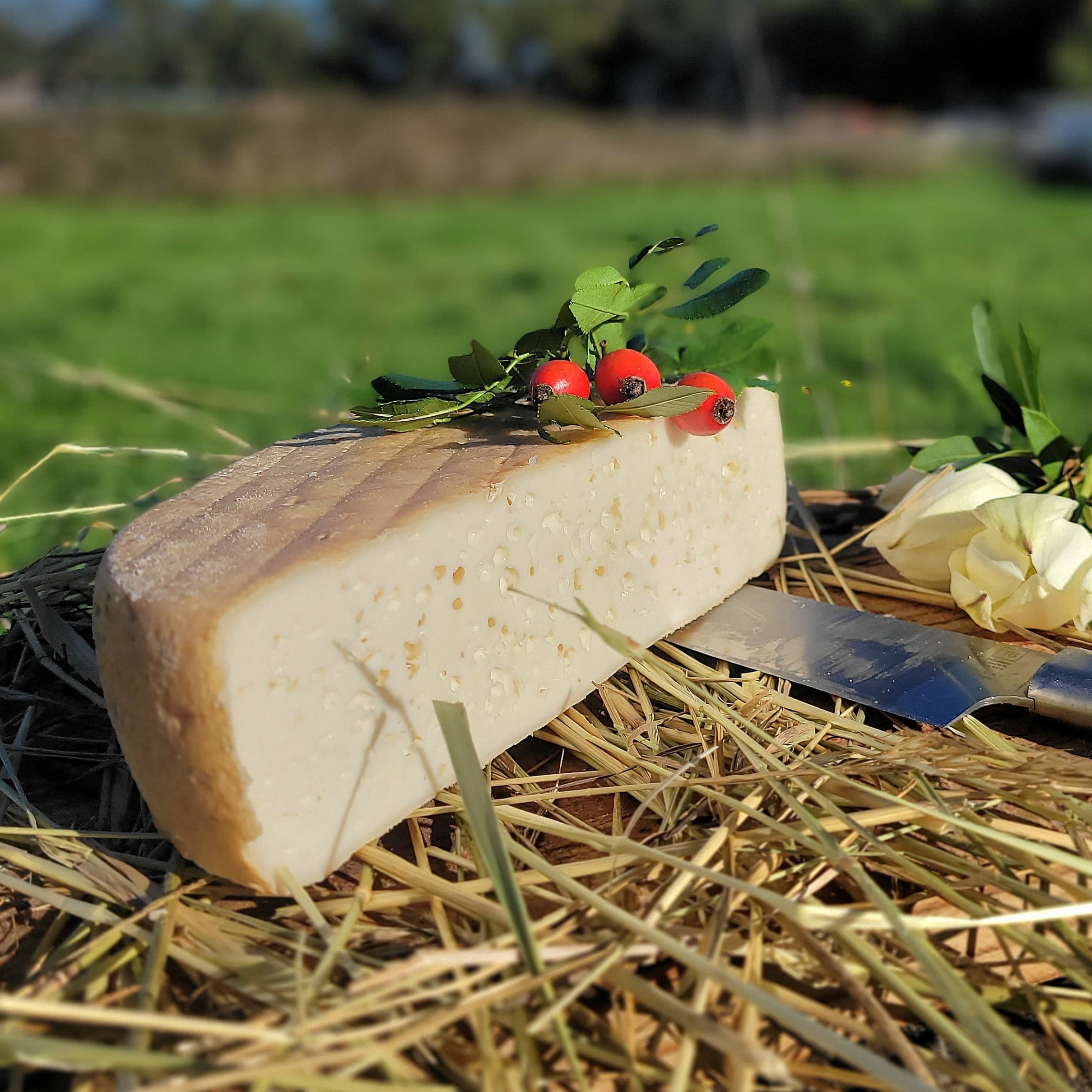 1/2 Raclette de chèvre - 1000g