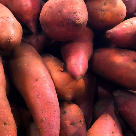 Patate douce AR