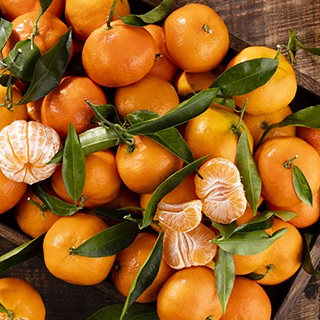 Clémentine 'Caffin' IGP Corse