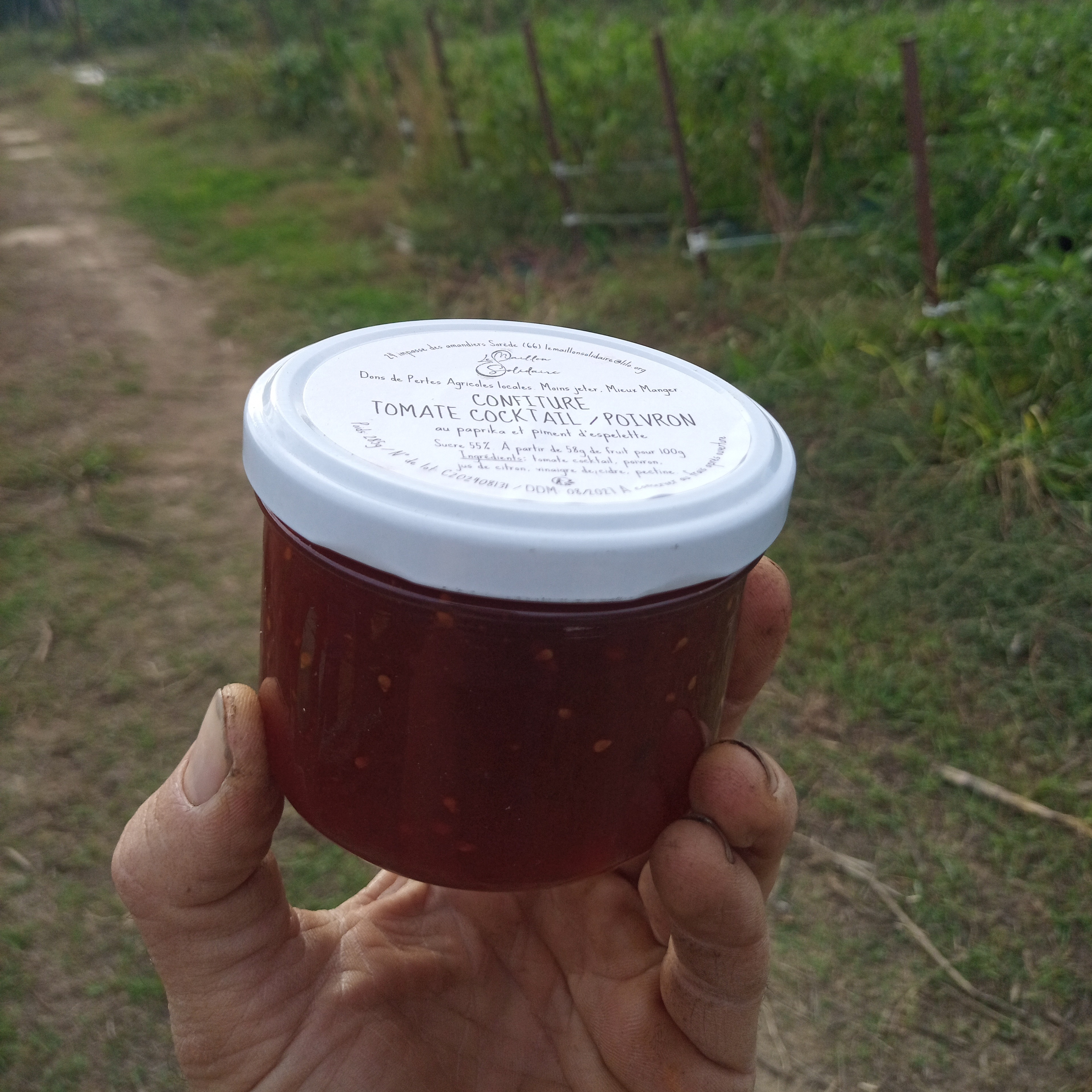 Confiture Courge Carat, Patate douce et Feijoa / Bocal 285g