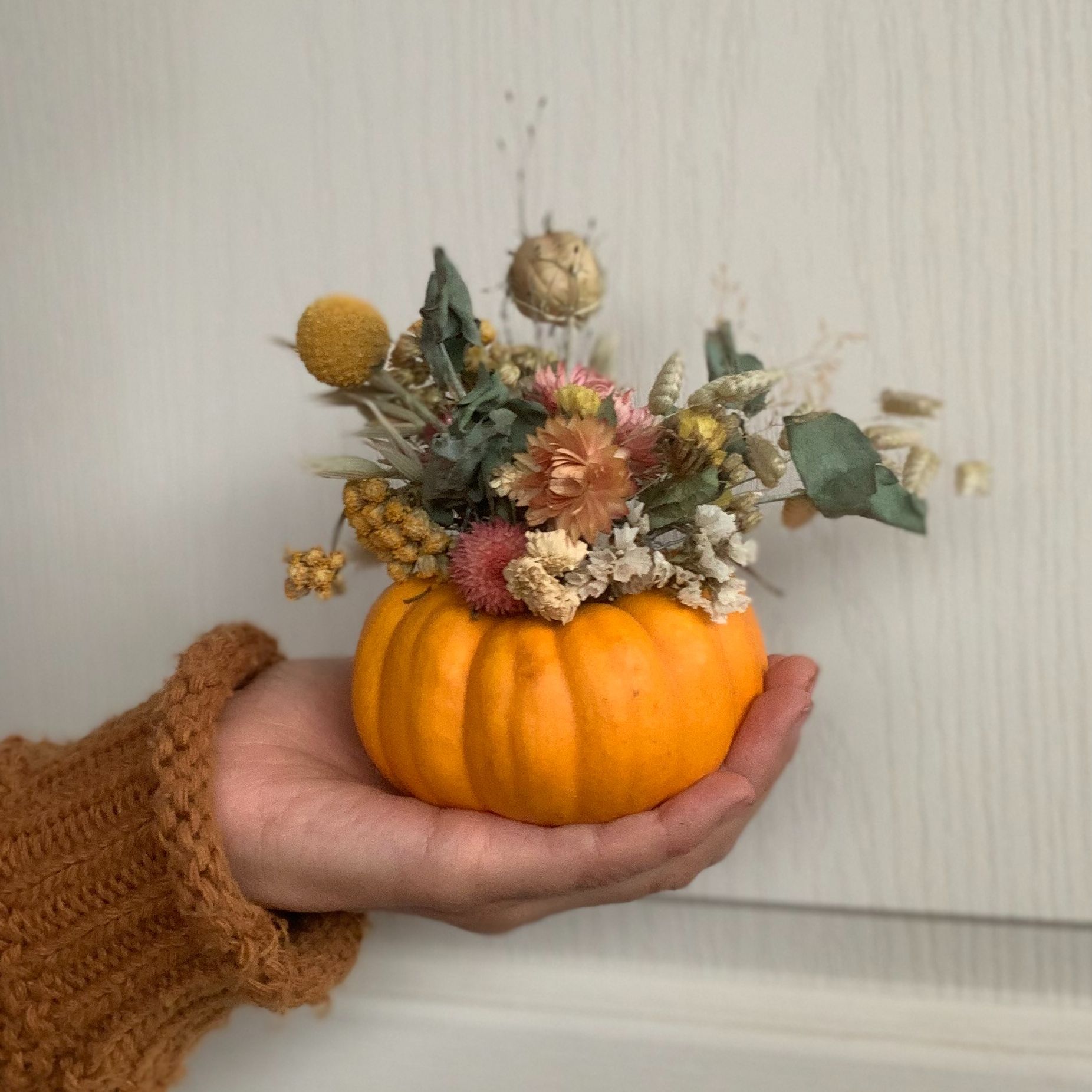 Courge fleurie