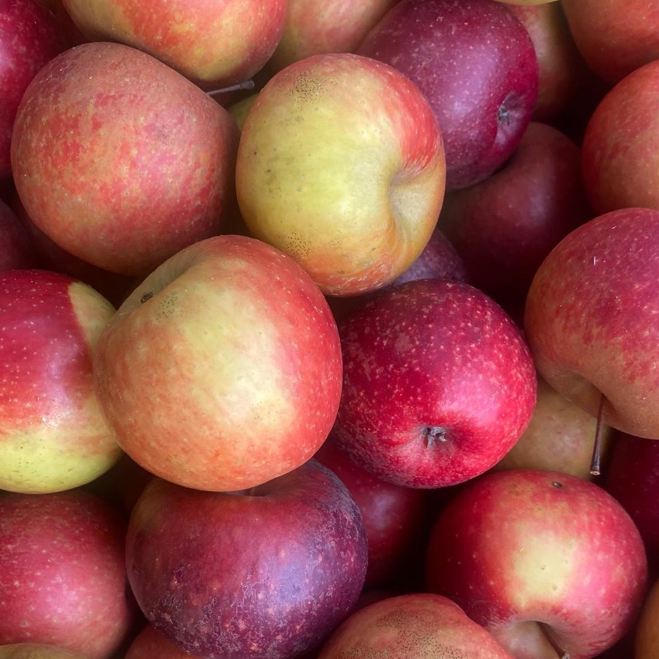 Pomme Dalinette (Petites) - 800g