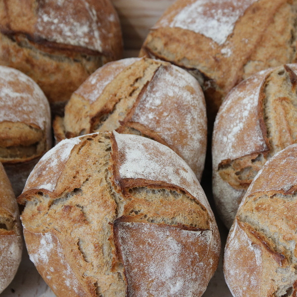 Campagne 500g rond - 0,5kg