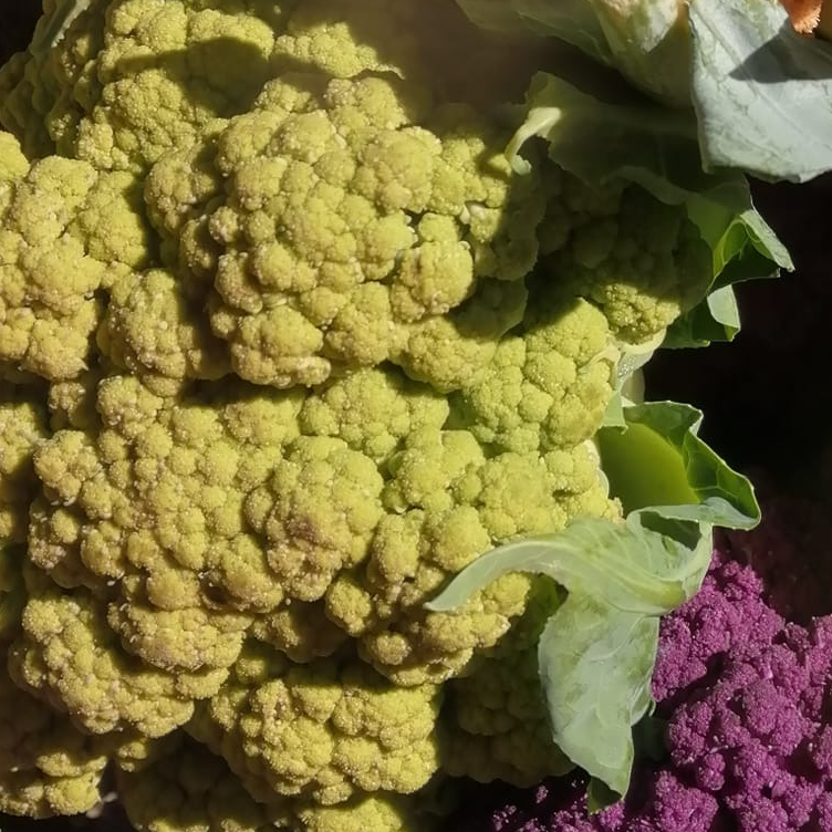 Choux Fleurs Vert - 0,2kg