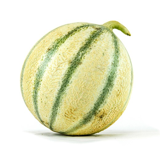 Melon Charentais Jaune