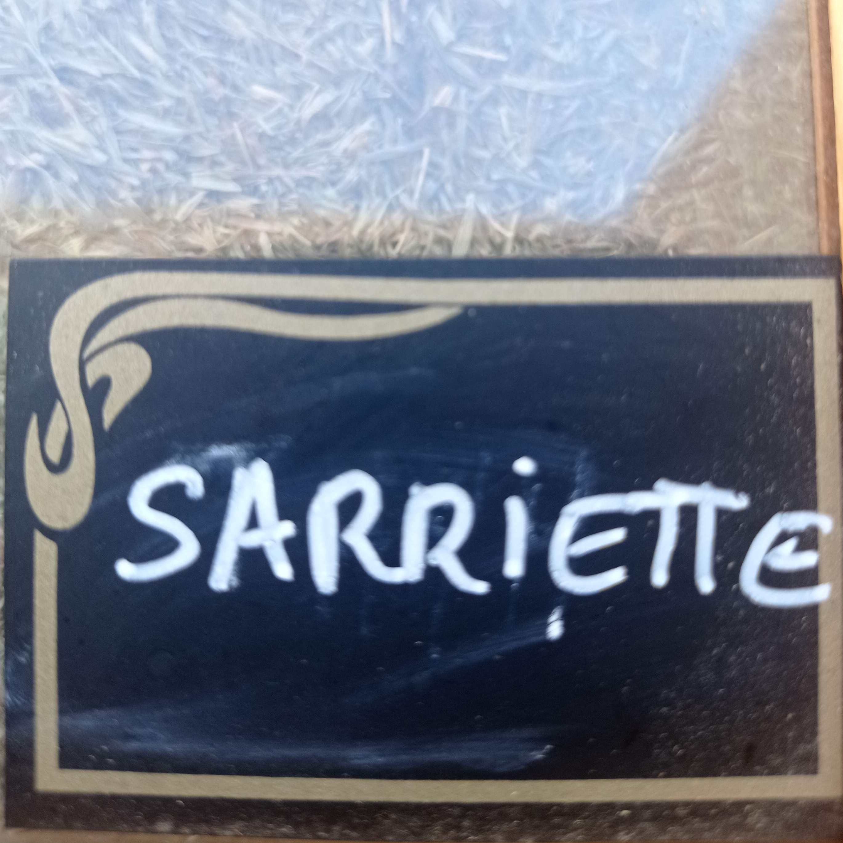 Sariette sachet de 25g