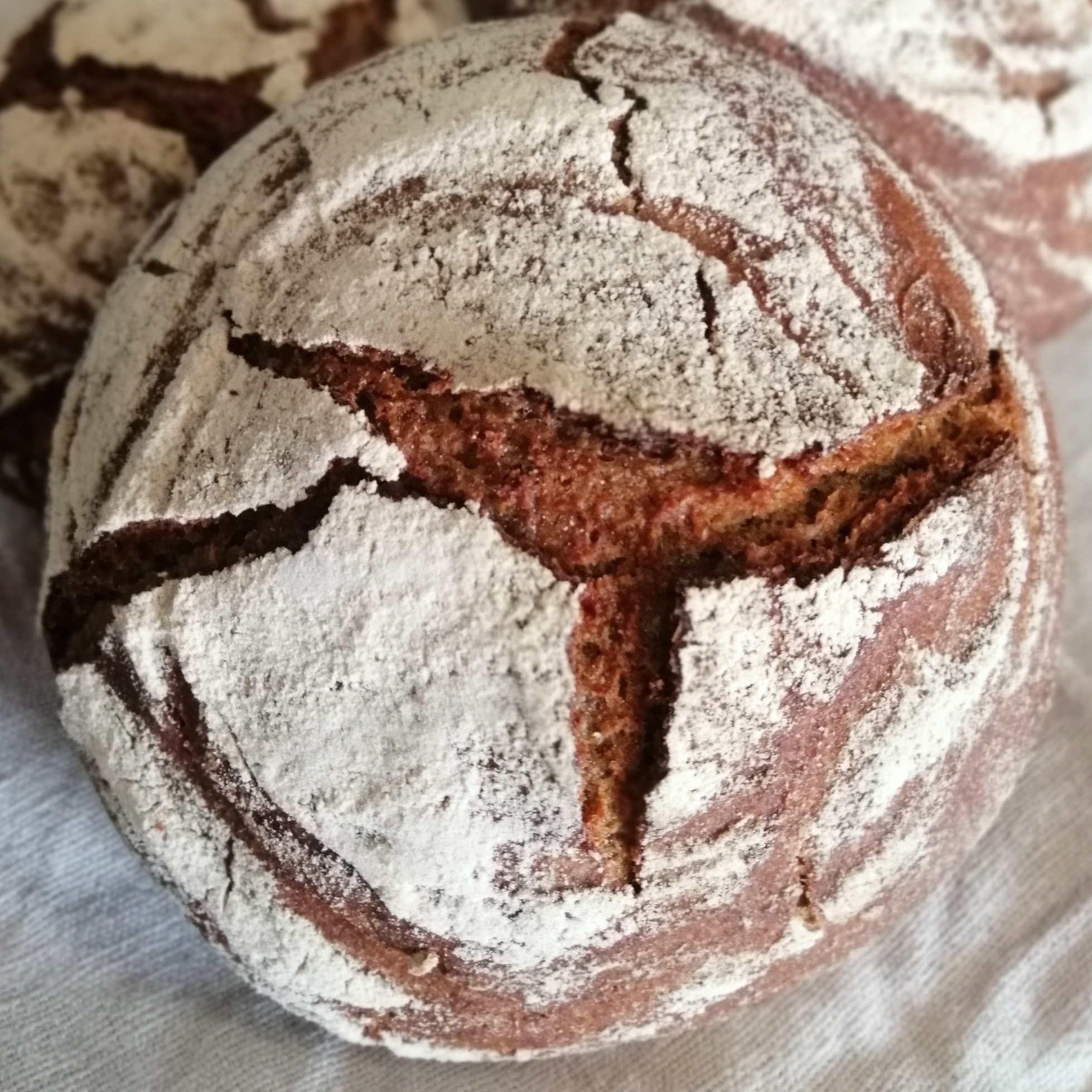 Tourte de seigle, 100%