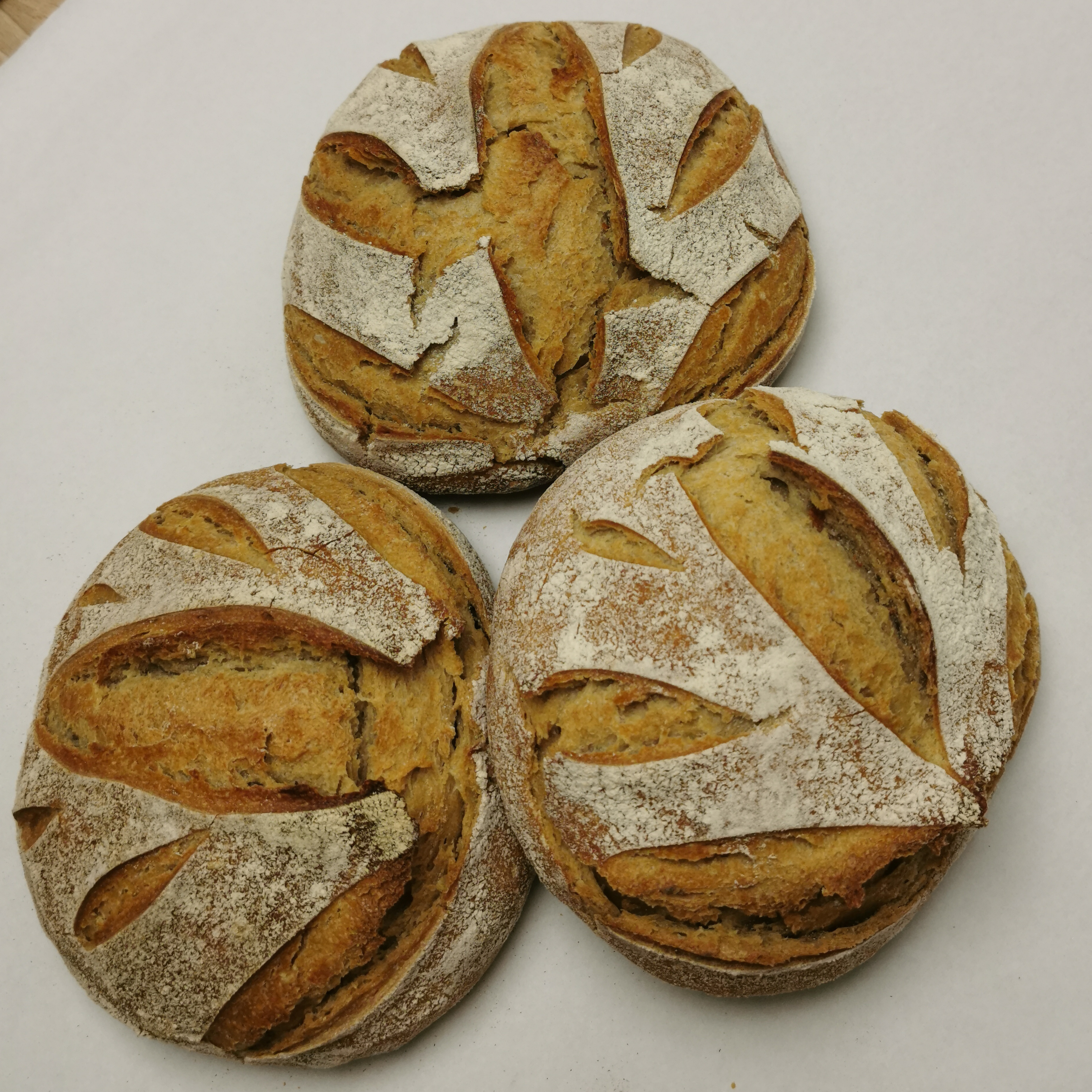 Blés anciens - 500gr - 500g