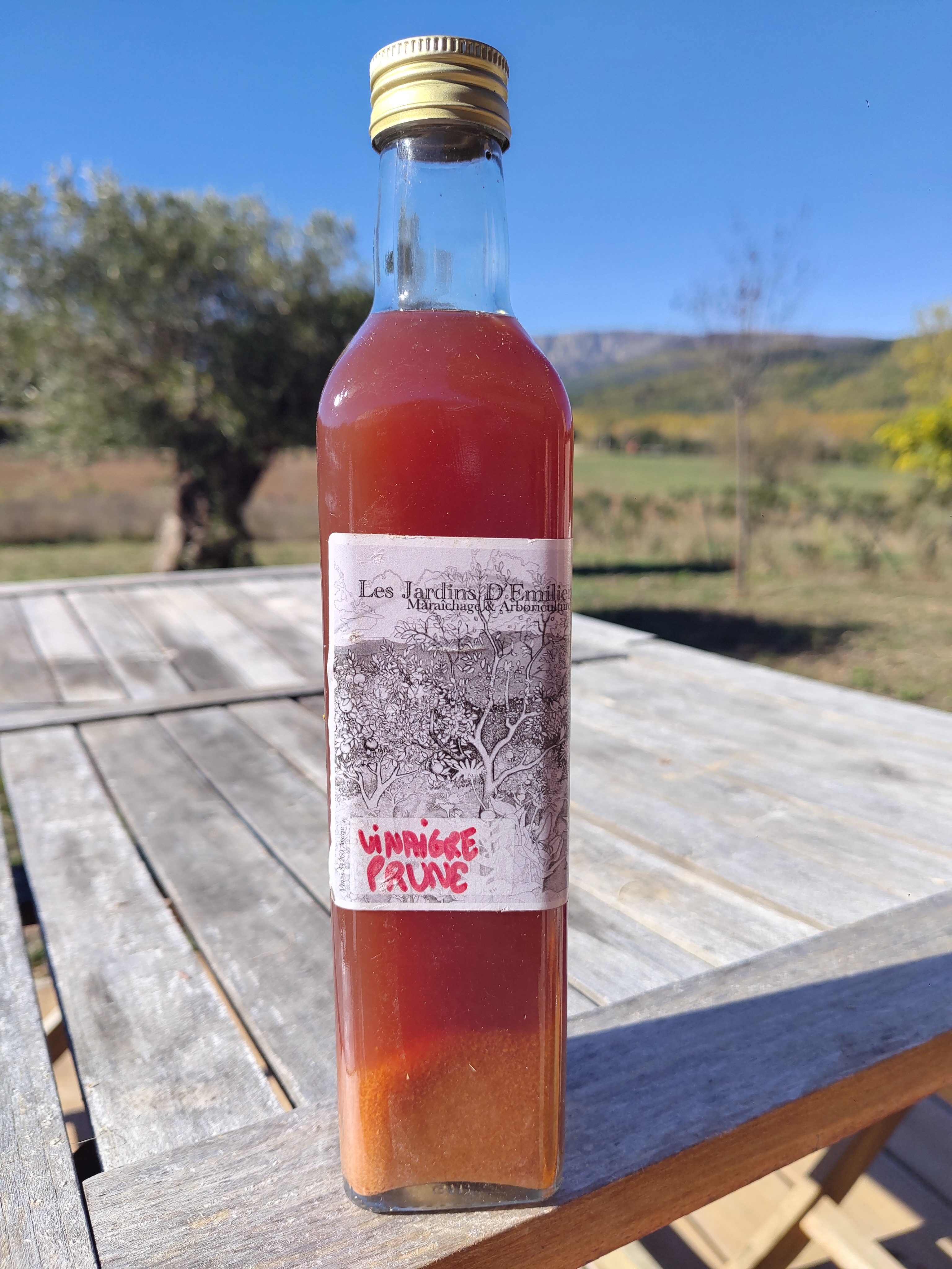 Aigrette 50cl PRUNE ROUGE