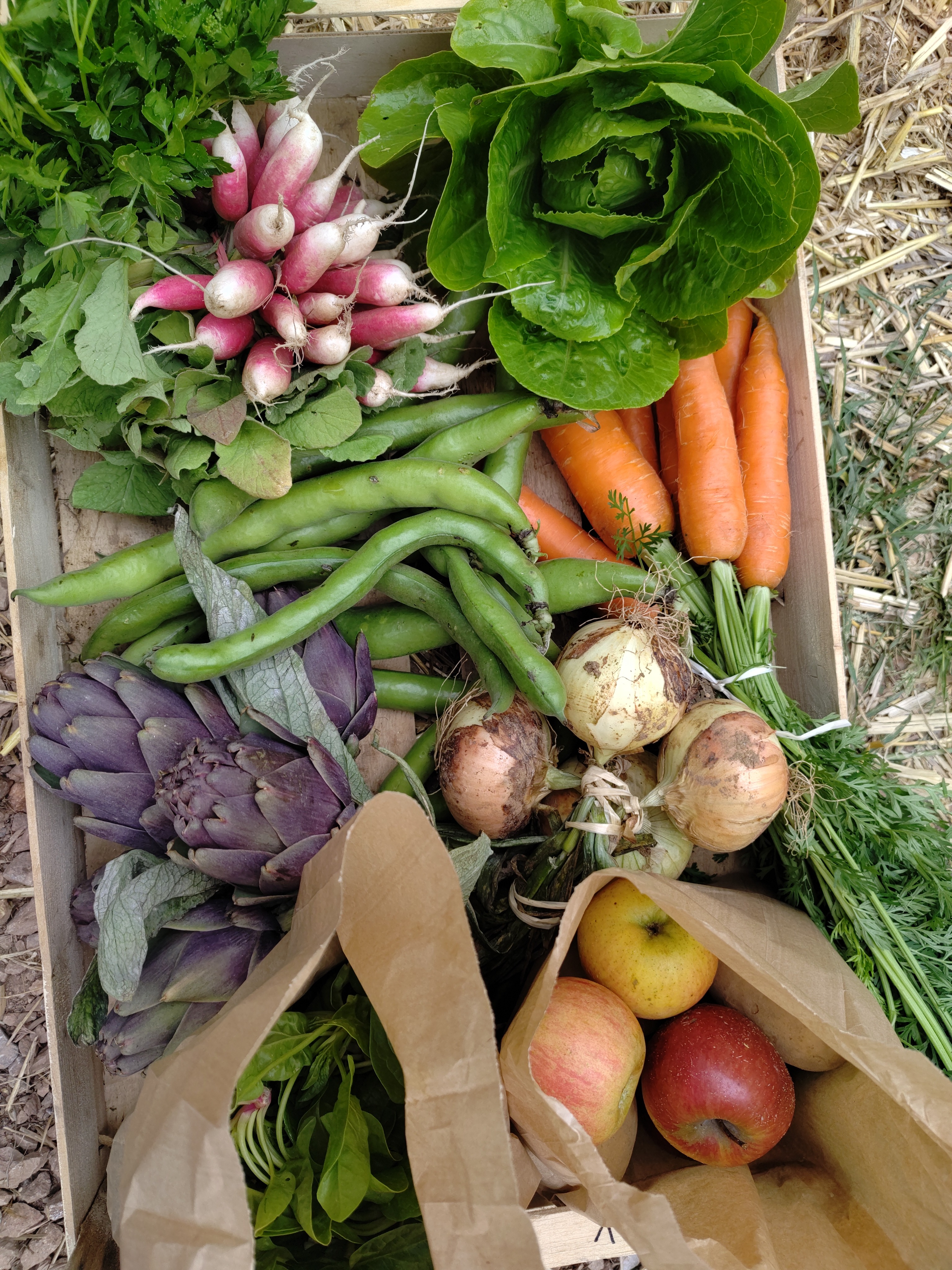 Paniers Fruits&  légumes du moment 25€