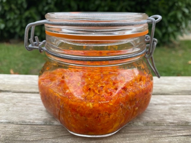 Sauce probiotique aux poivrons et à l'ail 200g