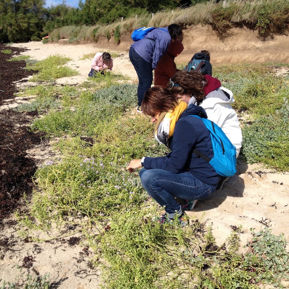 Stage Plantes à l'Écocentre - 16 mai 2026